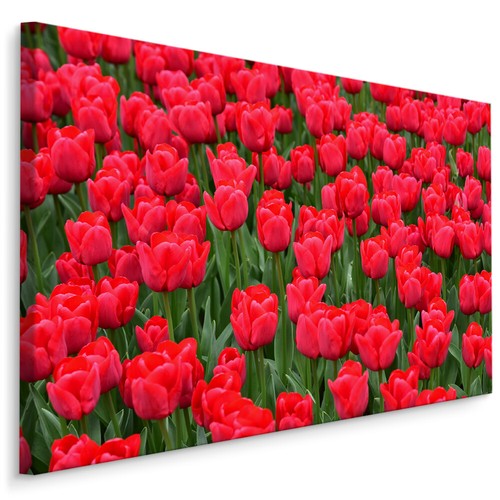 Canvas leinwand bilder xxl - leinwand,