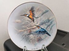 Rosenthal Porzellan Wandteller Sammelteller Juwelen der Vogelwelt - Eisvögel