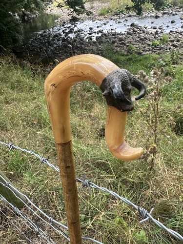 Widder horn spazierstock - horn, markt