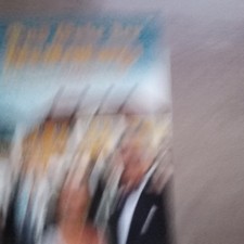 Das Erbe der Guldenburgs -