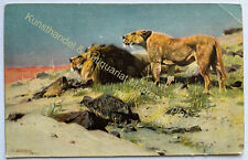 AK Maler Wilhelm Kuhnert Oppeln Schlesien Tiere Löwen Afrika um 1910