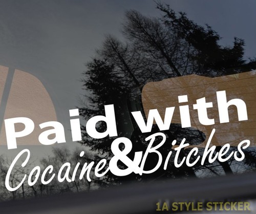 Paid with cocaine bitches - paid,