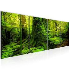 Bilder Set Modern Wald