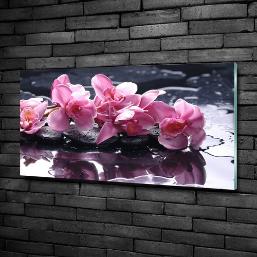 Glas bild wandbilder druck auf - glas-bild,