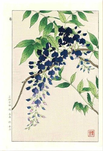 Shodo kawarazaki holzschnitt - shodo,