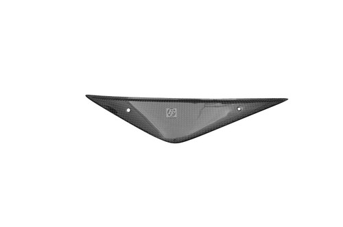 Carbon airbox seitencover - carbon,