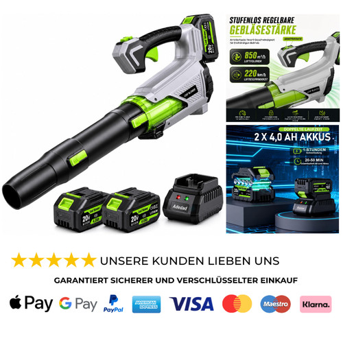 Akku laubbläser 21v 2x4 0ah - akku,