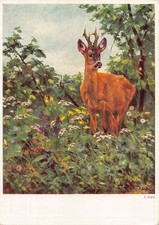 Nature Landscape Animals Art