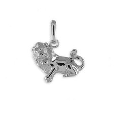 Sternzeichen Anhänger & Kette