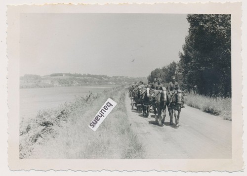 Frankreich längs der - , loire