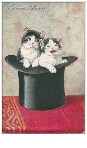 Katzen 593 gutes neues - nr.,