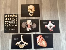 Prometheus Postkarte Schöner