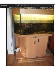 Terrarium,   (war  200 Lt. -Aquarium,) 