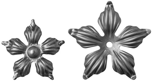 Zierblumen rosette zierrosette - rosette,