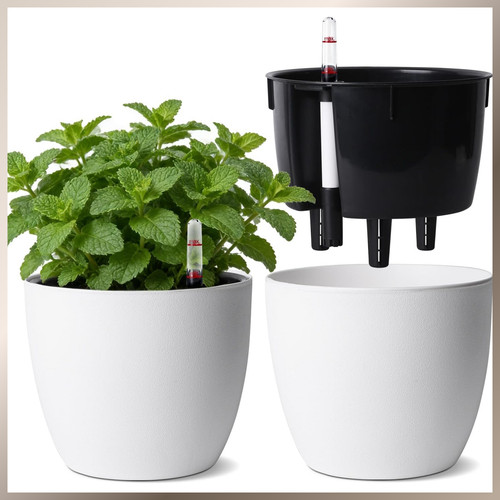 Blumentopf 5cm rund mit - blumentopf,