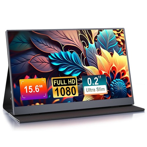 Zoll portable monitor - 15,6,