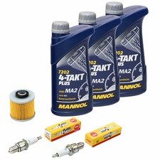 Öl 3L Inspektionspaket für