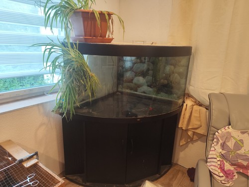 Juwel 300l komplettaquarium - juwel,