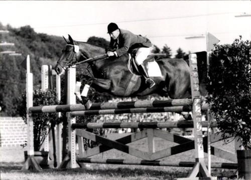Foto springreiten sprung - foto,