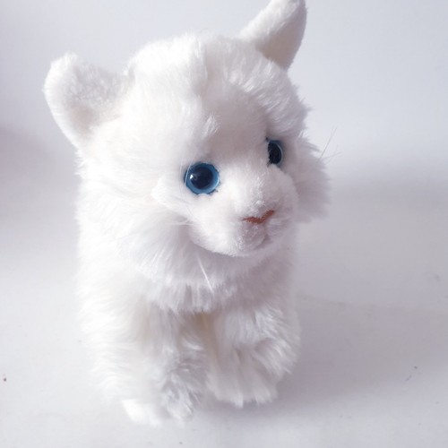 Niedliche katze stofftier - niedliche,