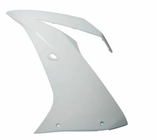 Unlackierte Seitenverkleidung