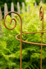 Staudenhalter Rostig Ø 40cm - Lieferung im Stück Strauchhalter Rankgerüst, Rost