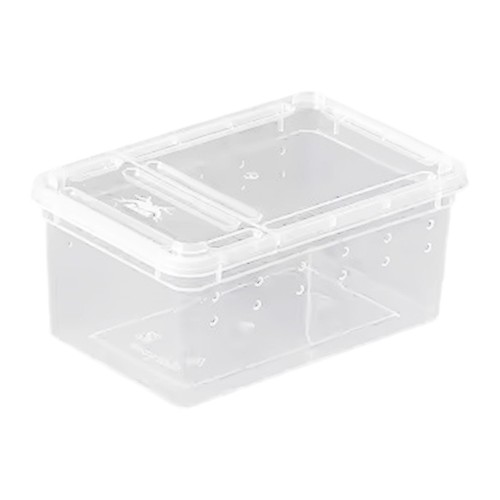 Reptilien zuchtbox - reptilien,