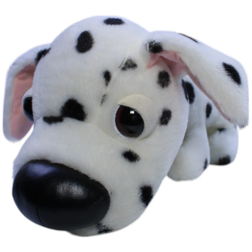 Tcc dalmatiner hund - tcc,