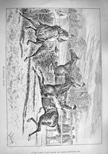 Original alter antiker Druck