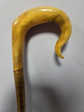 Original Hirten Gauner Nase aus Widder Horn 47,5 Zoll