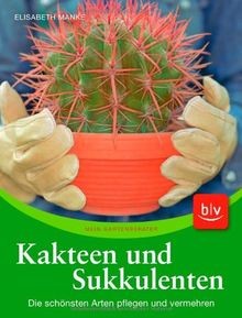 Kakteen und sukkulenten - kakteen, die