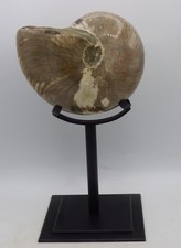 Sehr großer polierter