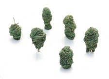 Artitec 387.602 - 1:87