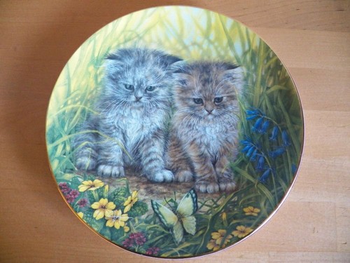Katze sammelteller katzen - katze,