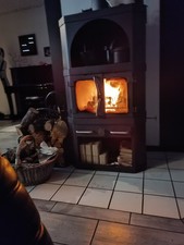 Dan Scan Kaminofen Holzofen  Nicht mehr in D zugelassen