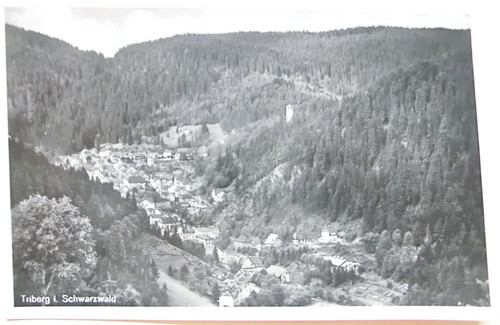Triberg schwarzwald nicht - ak-triberg-schwarzwald,