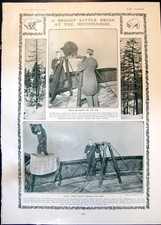 Alte helle kleine Bruin