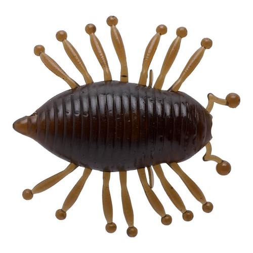 Illex gambit woodlouse - illex,