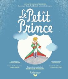 Petit prince le conte - le,