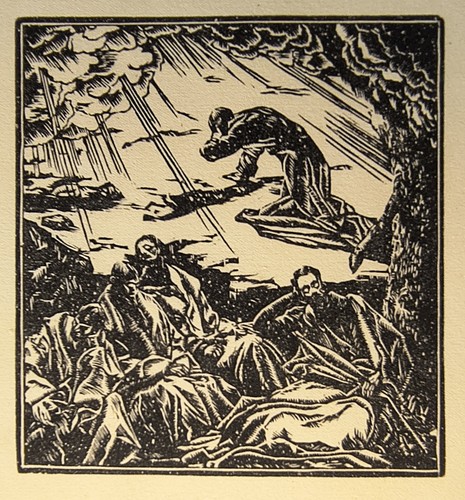 Elfriede miller hauenfels - elfriede, miller-hauenfels