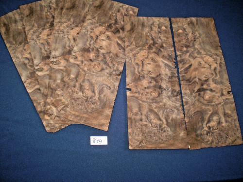 Nussbaum maser furnier - nussbaum,