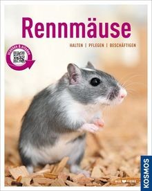 Rennmäuse halten pflegen - rennmäuse:,