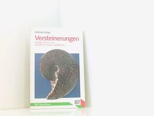 Versteinerungen. Häufige