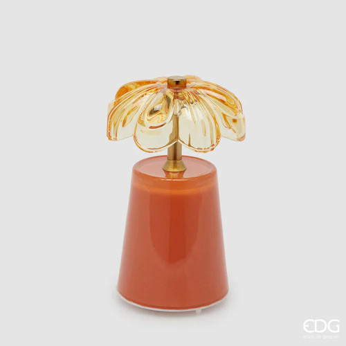 Edg enzo gasperi - edg,