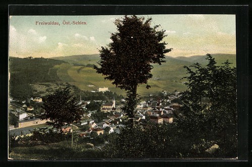 Ansichtskarte freiwaldau - ansichtskarte,
