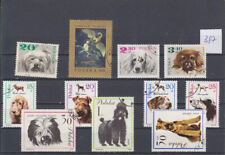 Hunde (387) nur Polen Pudel Pekinese Terrier + mehr