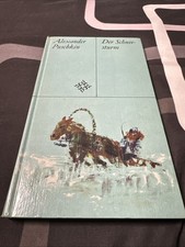 Der Schneesturm Puschkin