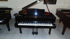 Flügel Blüthner Modell M