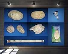 Deko-Steine - für Aquarium oder Terrarium - Juwel - Beleuchtung  Vorschaltgerät