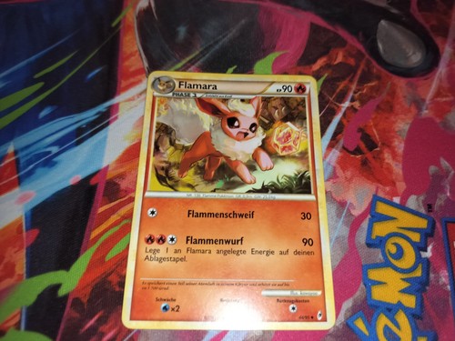Pokemon flamara 2011 - flamara,